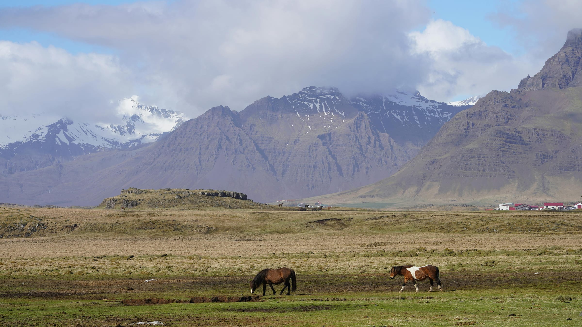 Pakkhús Restaurant, Höfn in East Iceland