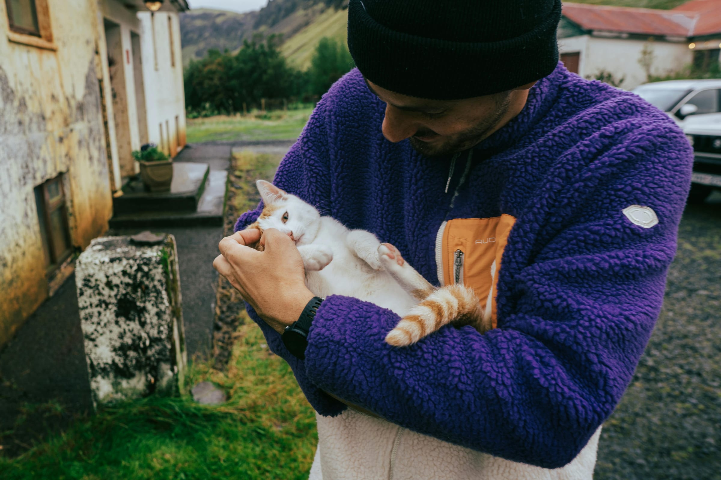 Við Pollinn – Fish Restaurant, Ísafjörður in Westfjords