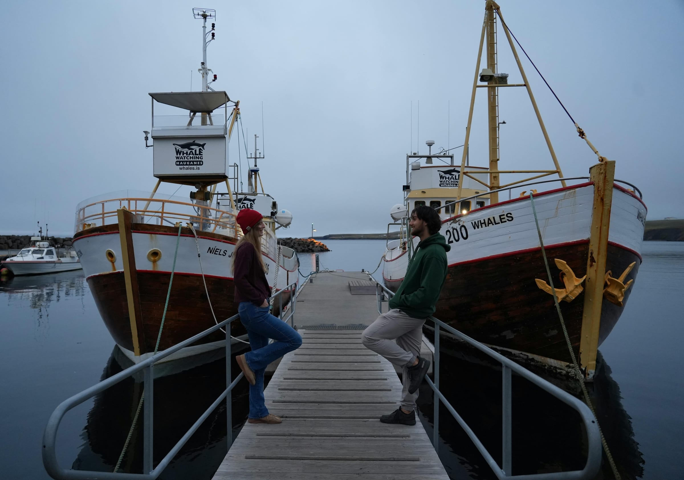 Scenic Iceland landscape for Whale Watching in Iceland: Best Towns and Best Time