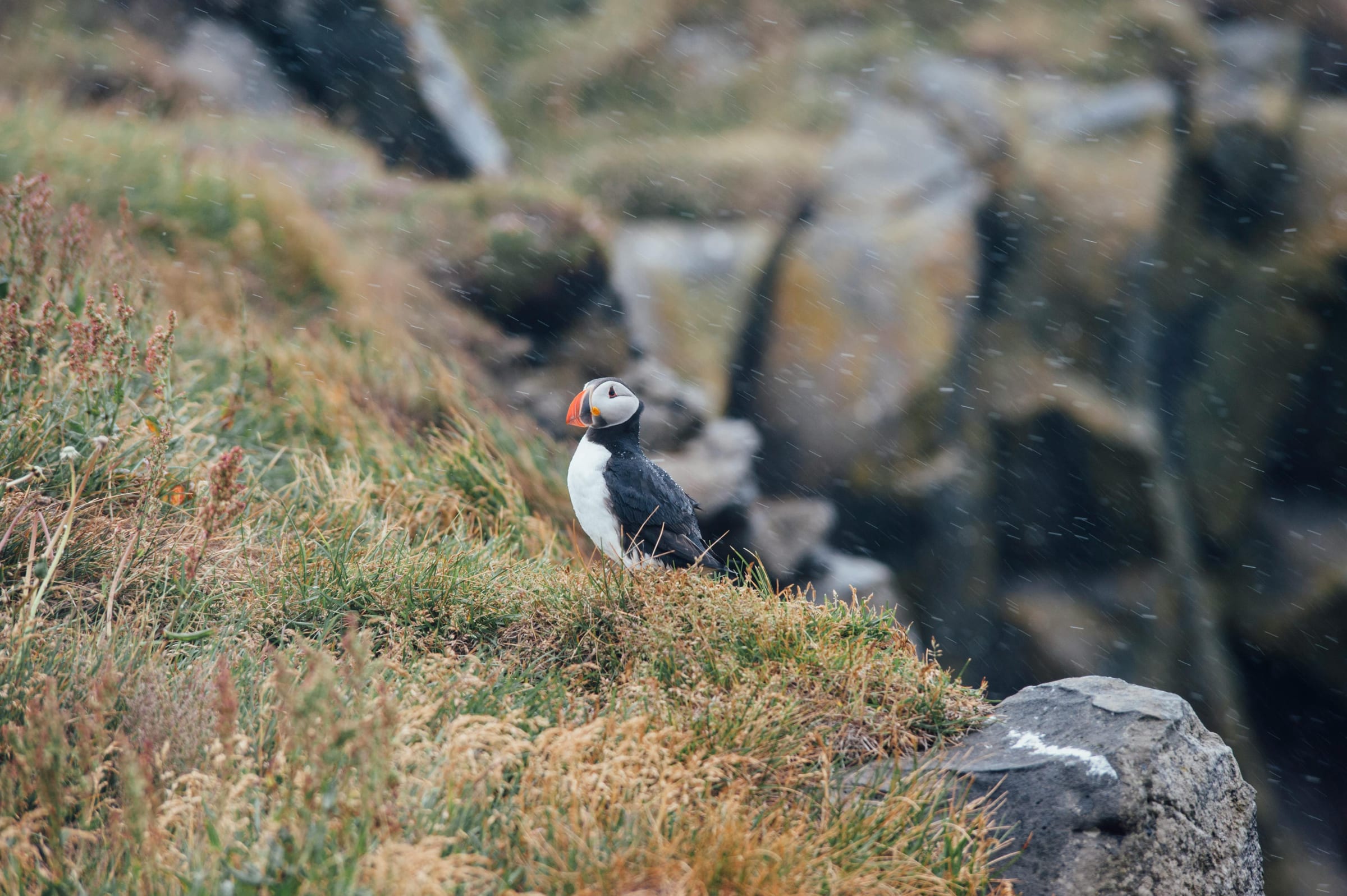 Scenic Iceland landscape for Where to See Puffins in Iceland